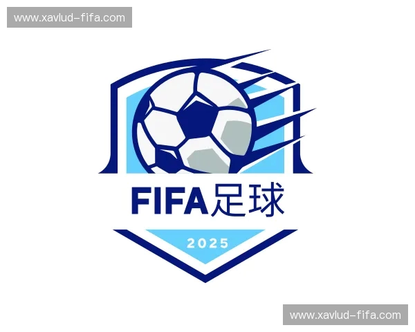 介绍fifa足球